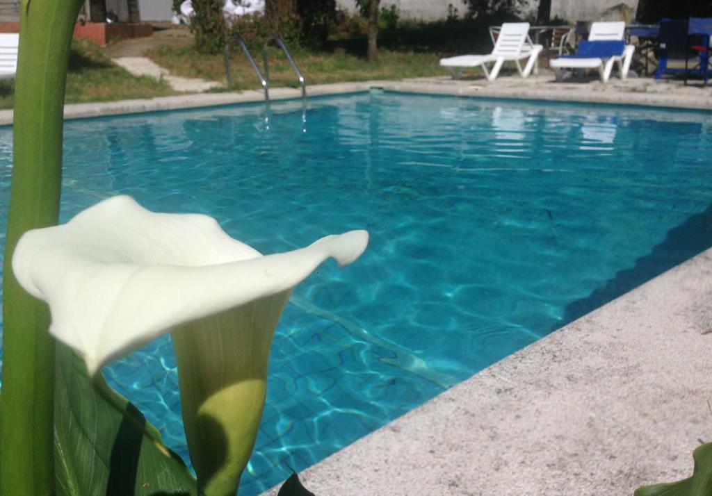Hotel Vida Playa Paxarinas بورتونوفو المظهر الخارجي الصورة